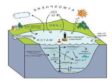 Diagram of Muskegon Lake Observatory within a lake ecosystem